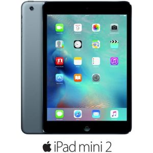 TABLETTE TACTILE Apple iPad Mini 2 Wi-Fi 16Go Gris Sidéral
