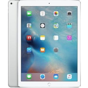 IPAD PRO 11 (2021) M1 256 Go - WiFi - Gris Sidéral + Magic