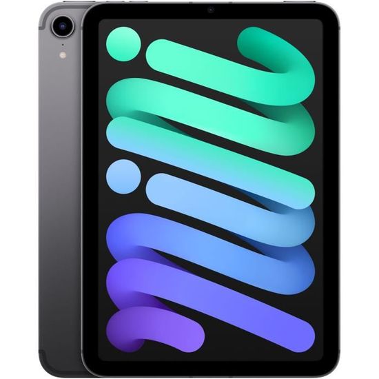 Apple - iPad mini (2021) - 8,3" WiFi + Cellulaire - 256 Go - Gris Sidéral