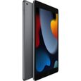 Apple - iPad (2021) - 10,2" - WiFi - 64 Go - Gris Sidéral-1