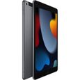 Apple - iPad (2021) - 10,2" WiFi + Cellulaire - 256 Go - Gris Sidéral-1