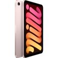 Apple - iPad mini (2021) - 8,3" WiFi - 256 Go - Rose-1