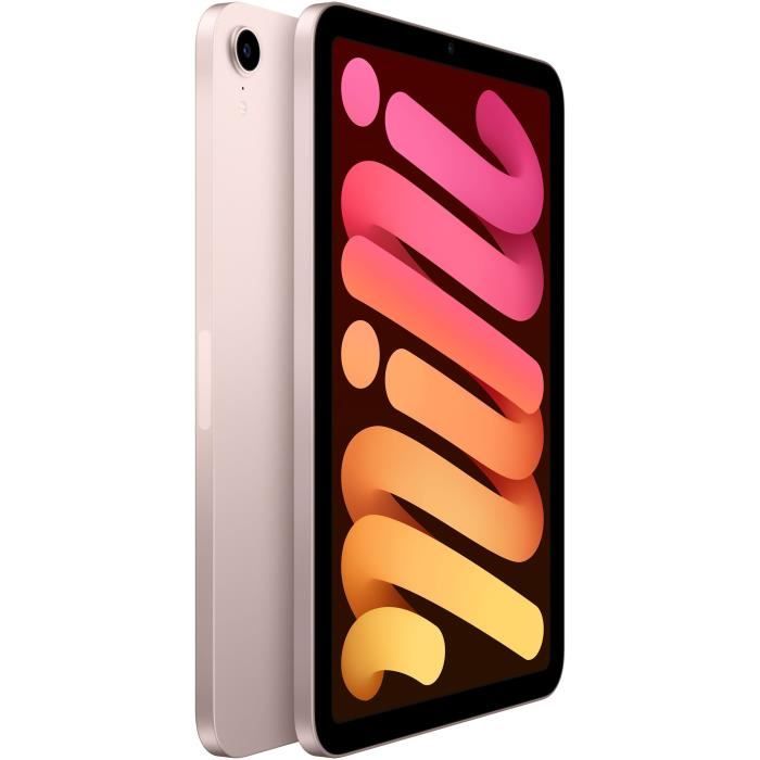 Apple - iPad mini (2021) - 8,3 WiFi - 256 Go - Rose - Cdiscount  Informatique