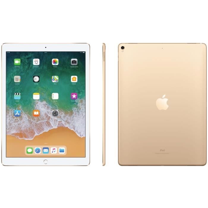 iPad Pro 12,9'' 256Go WiFi - Or - 2011