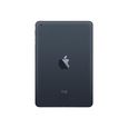 Apple iPad mini Wi-Fi 16 Go noir & ardoise-2