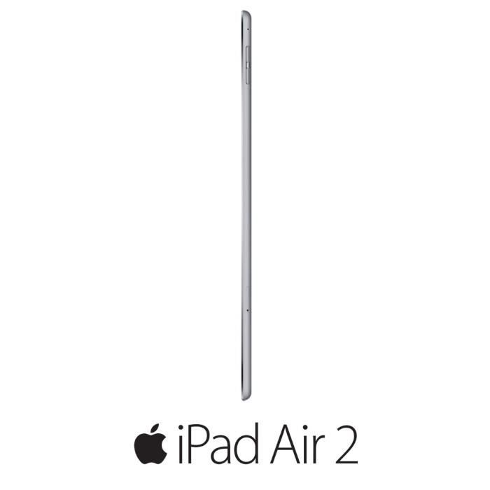 Apple iPad Air 2 Wi-Fi Cellular 16Go Gris sid2
