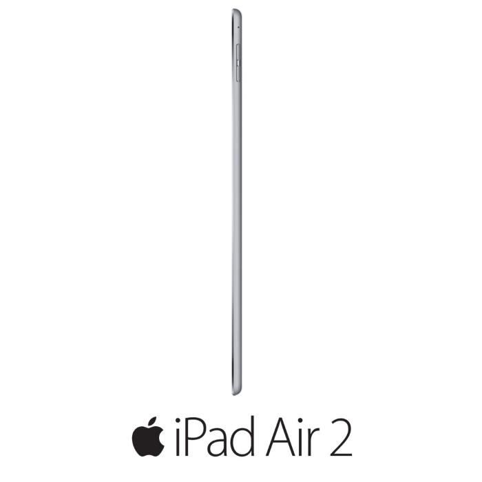 Apple iPad Air 2 Wi-Fi 64Go Gris sidéral2