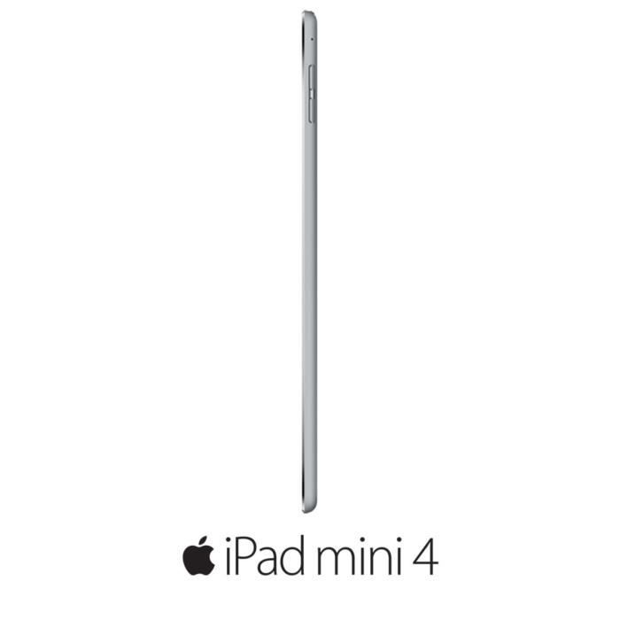iPad Mini 4 32 Go Wifi 4G Gris Sideral