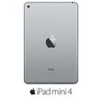 Apple iPad mini 4 Wi-Fi 16Go Gris sidéral-3