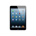Apple iPad mini Wi-Fi 16 Go noir & ardoise-3