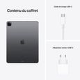 Apple - iPad Pro (2021) - 12,9'' - WiFi + Cellulaire - 2 To - Gris Sidéral-4