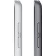 Apple - iPad (2021) - 10,2" WiFi - 256 Go - Gris Sidéral-7