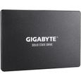 GIGABYTE - SSD Interne - 480Go - 2,5" (GP-GSTFS31480GNTD)-1