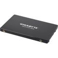 GIGABYTE - SSD Interne - 480Go - 2,5" (GP-GSTFS31480GNTD)-3