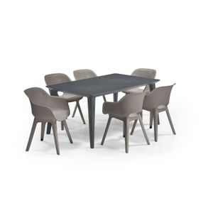 Ensemble table et chaise de jardin ALLIBERT JARDIN Table LIMA 160x100cm - Graphite + 6 fauteuils AKOLA Capuccinno - Résine
