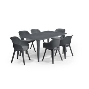 Ensemble table et chaise de jardin ALLIBERT JARDIN Table LIMA 160x100cm - Graphite + 3 lots de 2 fauteuils AKOLA Graphite - Résine