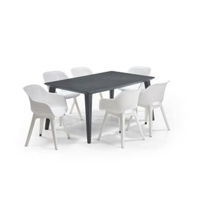 Ensemble table et chaise de jardin ALLIBERT JARDIN Table LIMA 160x100cm - Graphite + 3 lots de 2 fauteuils AKOLA Blanc - Résine
