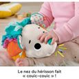 Fisher-Price - Mon Petit Hérisson Sensoriel - Jouet d'?veil - 6 mois et + HBP42-3