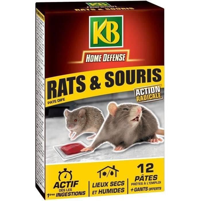 Pâtes Anti-Rats et Souris - KB HOME DEFENSE - RSOUPAT - Action radicale -  Lieux secs et humides - Cdiscount Jardin