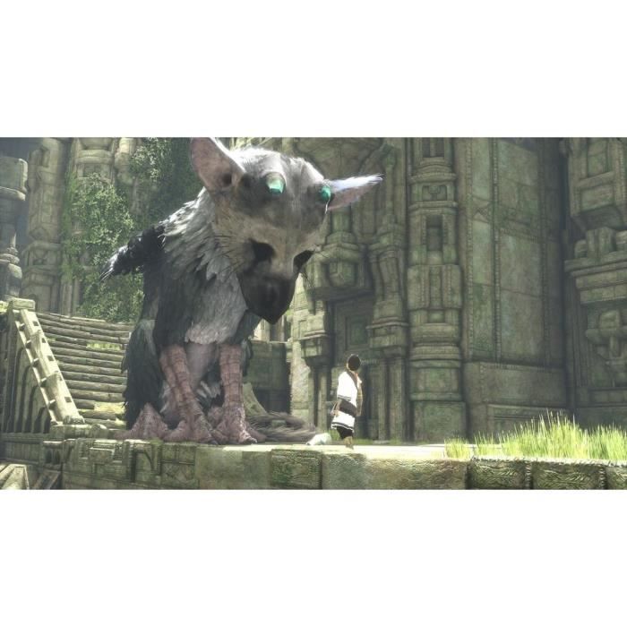 Sony - Sony The Last Guardian, PS4 Standard Français PlayStation 4