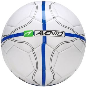achat ballon de foot