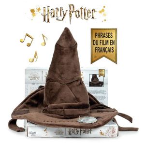 Shaker box chapeau avec Acétate Harry Potter
