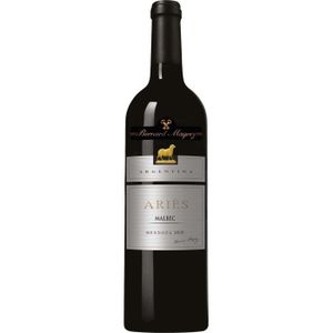 VIN ROUGE Ariès Casa Magrez 2021 Mendoza - Vin rouge d'Argen