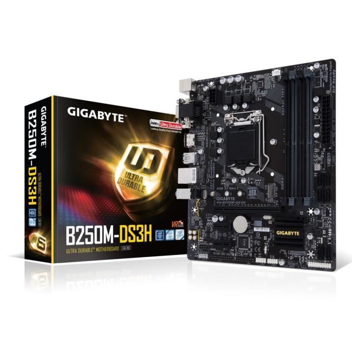 GIGABYTE  Carte m&egrave;re GA-B250M-DS3H - Socket LGA 1151 - DDR4 - 2400 Hz - 64 Go 