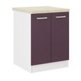 Meuble bas cuisine 2 portes