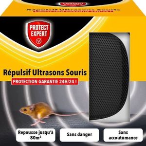 Acto Répulsif Ultrasons : Solution Ultime contre Rats, Souris