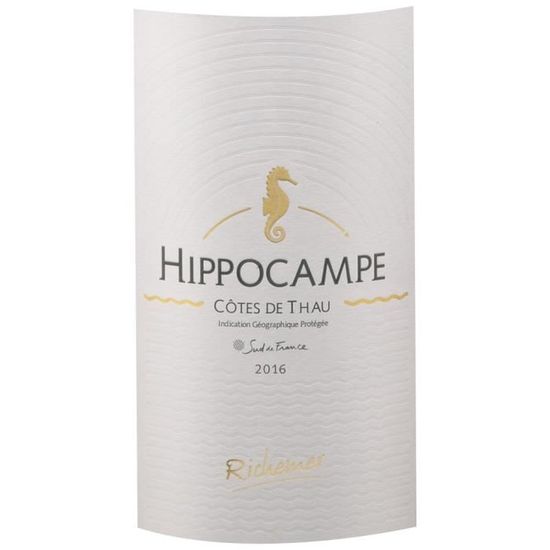 robe hippocampe 2019
