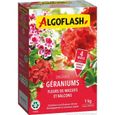 Engrais Géraniums, Fleurs de Massifs et Balcons - ALGOFLASH NATURASOL - 1 kg-1