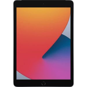 TABLETTE TACTILE Apple - 10,2" iPad WiFi + Cellulaire 128Go - Gris 