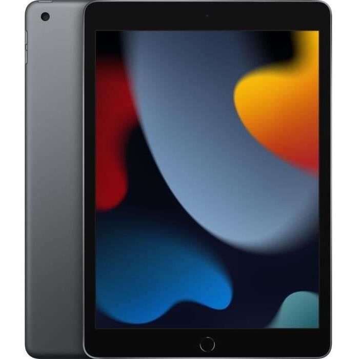 Apple - iPad (2021) - 102 WiFi - 256 Go - Gris Sidéral - Reconditionné - Très bon état - Apple