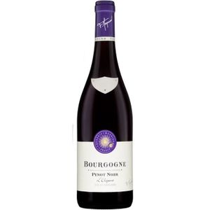 VIN ROUGE Frédéric Magnien Bourgogne Pinot Noir Elegant - Vin rouge de Bourgogne