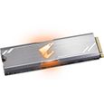 GIGABYTE - SSD Interne - Aorus RGB - 256Go - M.2 NVMe (GP-ASM2NE2256GTTDR)-1