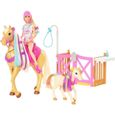 Barbie - Coffret toilettage chevaux avec Poupée Barbie, 2 Chevaux et + de 20 Accessoires - Accessoire Poupée Mannequin - Dès 3 ans-0