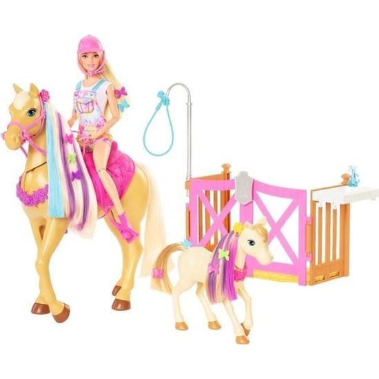 Barbie - Coffret toilettage chevaux avec Poupée Barbie, 2 Chevaux et + de 20 Accessoires - Accessoire Poupée Mannequin - Dès 3 ans