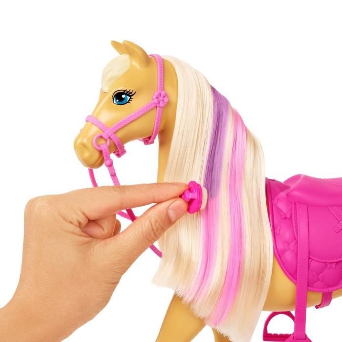 Accessoire van chevaux clearance