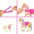 Barbie - Coffret toilettage chevaux avec Poupée Barbie, 2 Chevaux et + de 20 Accessoires - Accessoire Poupée Mannequin - Dès 3 ans-3