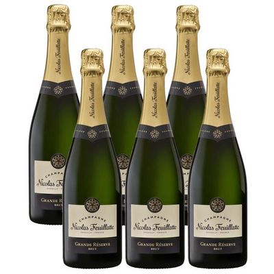 Toute l offre Champagne - Cdiscount - Notre sélection 2024