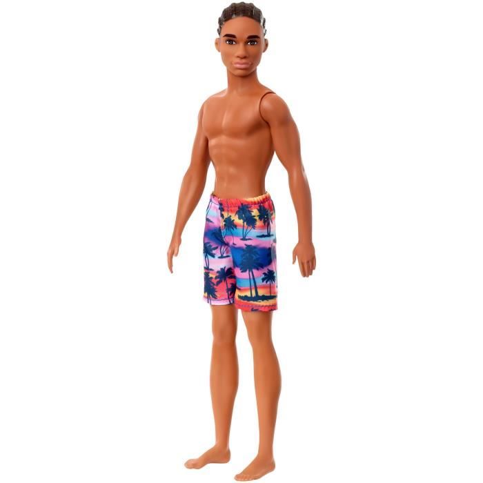 ken barbie brun