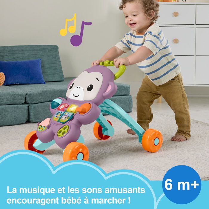 Fisher-Price Livre Musical Singe Violet, Français