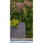 EDA Pot haut carré Volcania H80cm - Contenance 31L - Gris anthracite