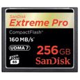 SANDISK Extreme Pro Cf 160Mb/S 256Gb-0