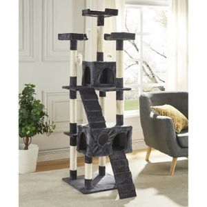 Arbre A Chat Pour Grand Chat
