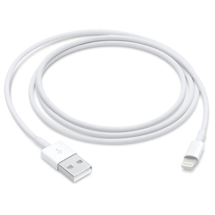 Câble Usb a Vers Lightning 1m Apple - vue 4