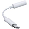 Adaptateur APPLE USB-C To 3.5 Mm Headphone Adapter-2