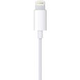 Ecouteurs APPLE EarPods With Lightning Connector-4
