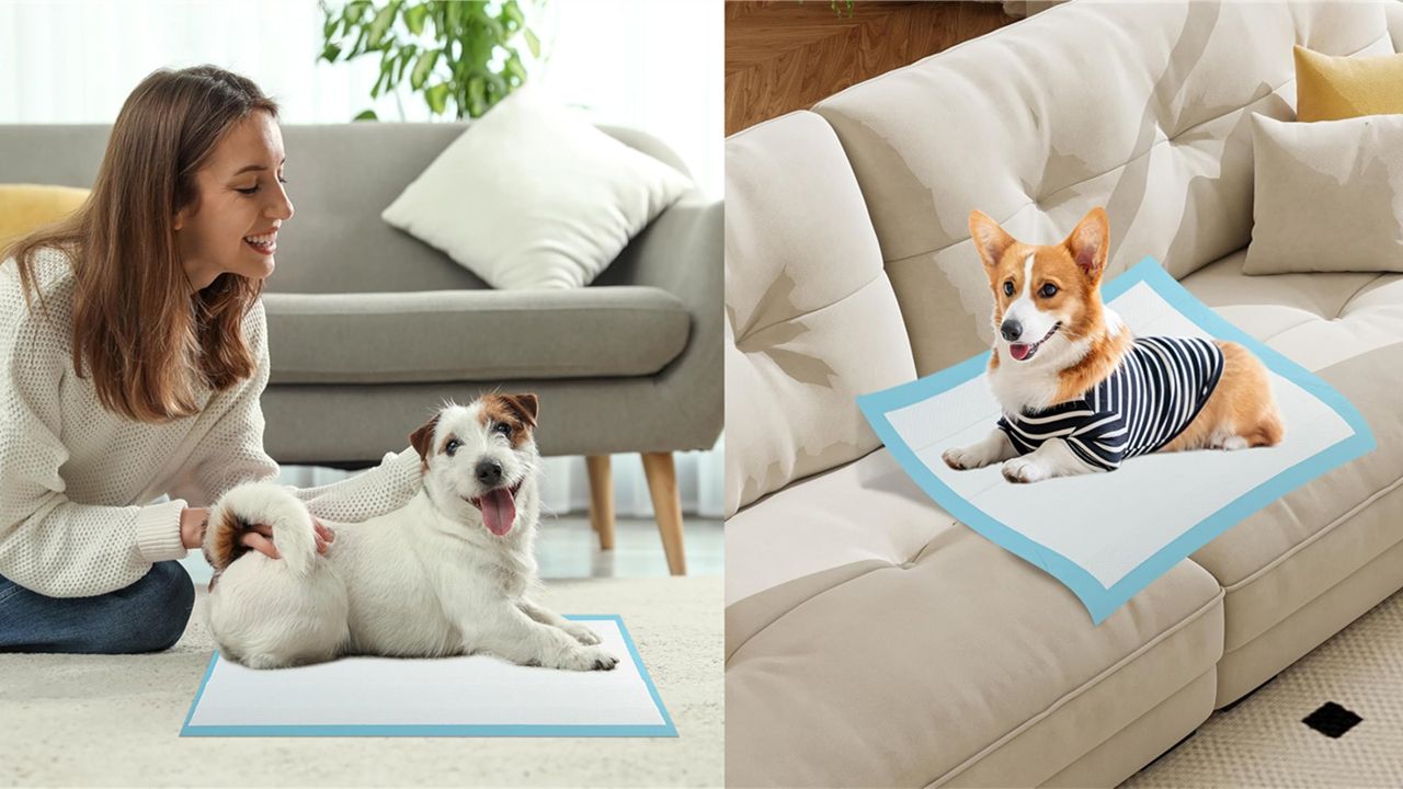 Coussinets de lit pour incontinence Coussinets de pipi lavables